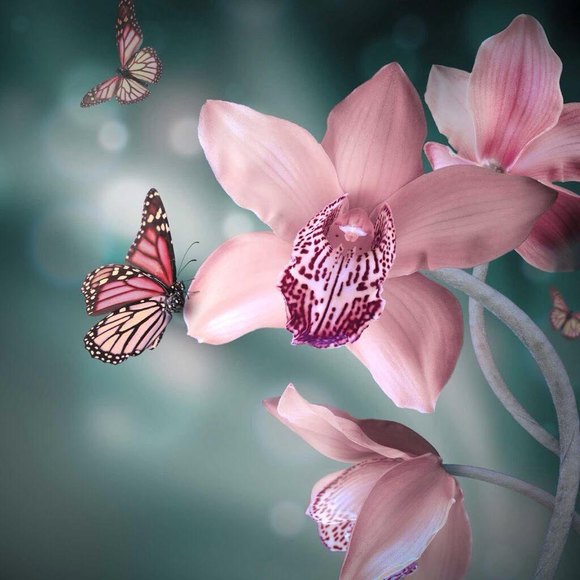 Meet your Posher, Tish - Picture 1 of 1